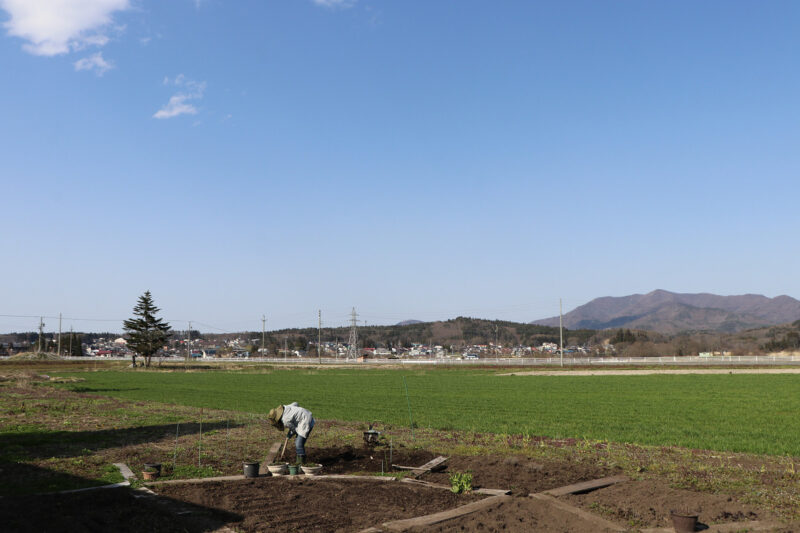 西山ろうそく店の畑仕事